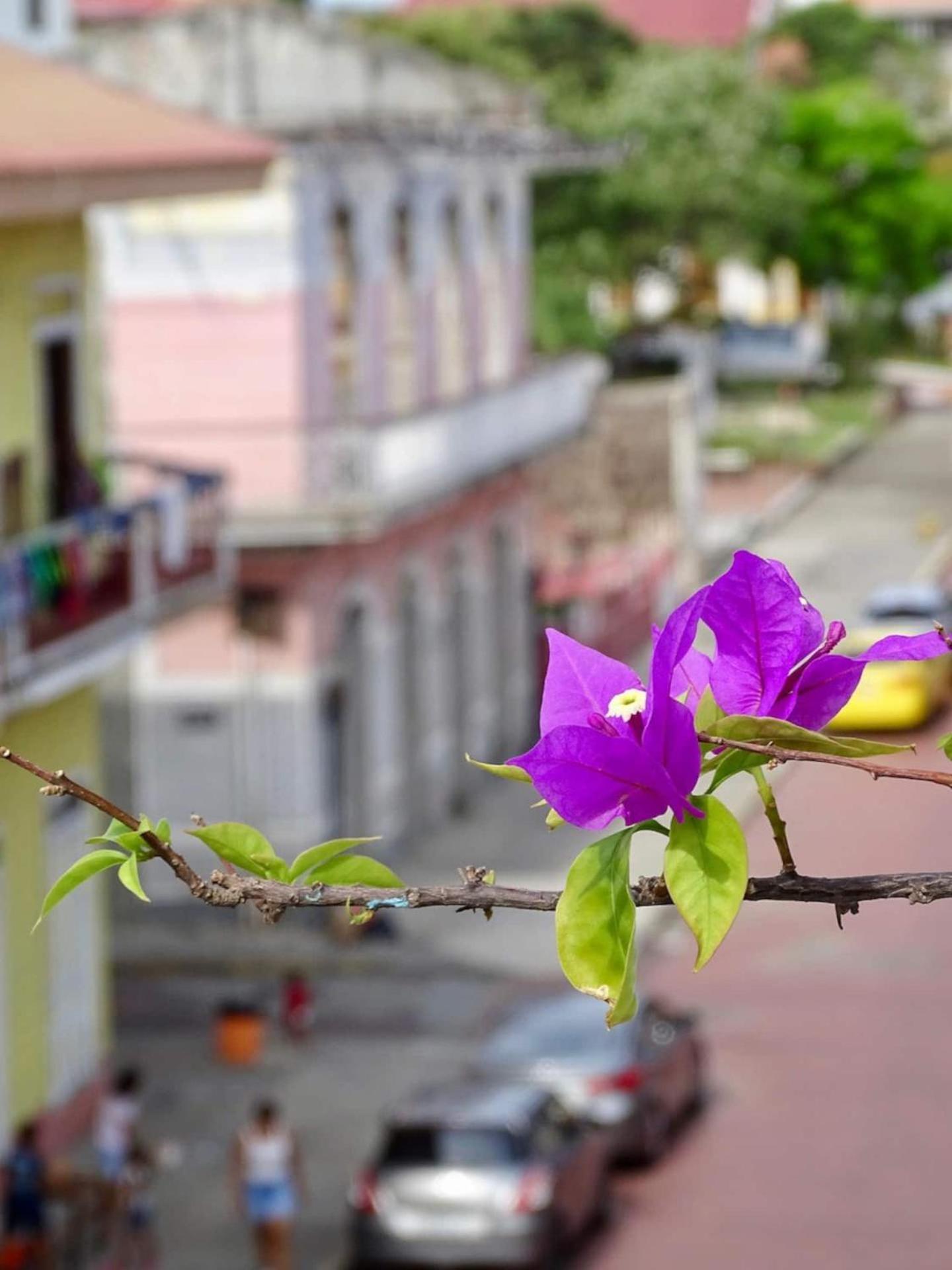 Bocas Style Apartment - Casco Viejo Panama by Eksteriør bilde
